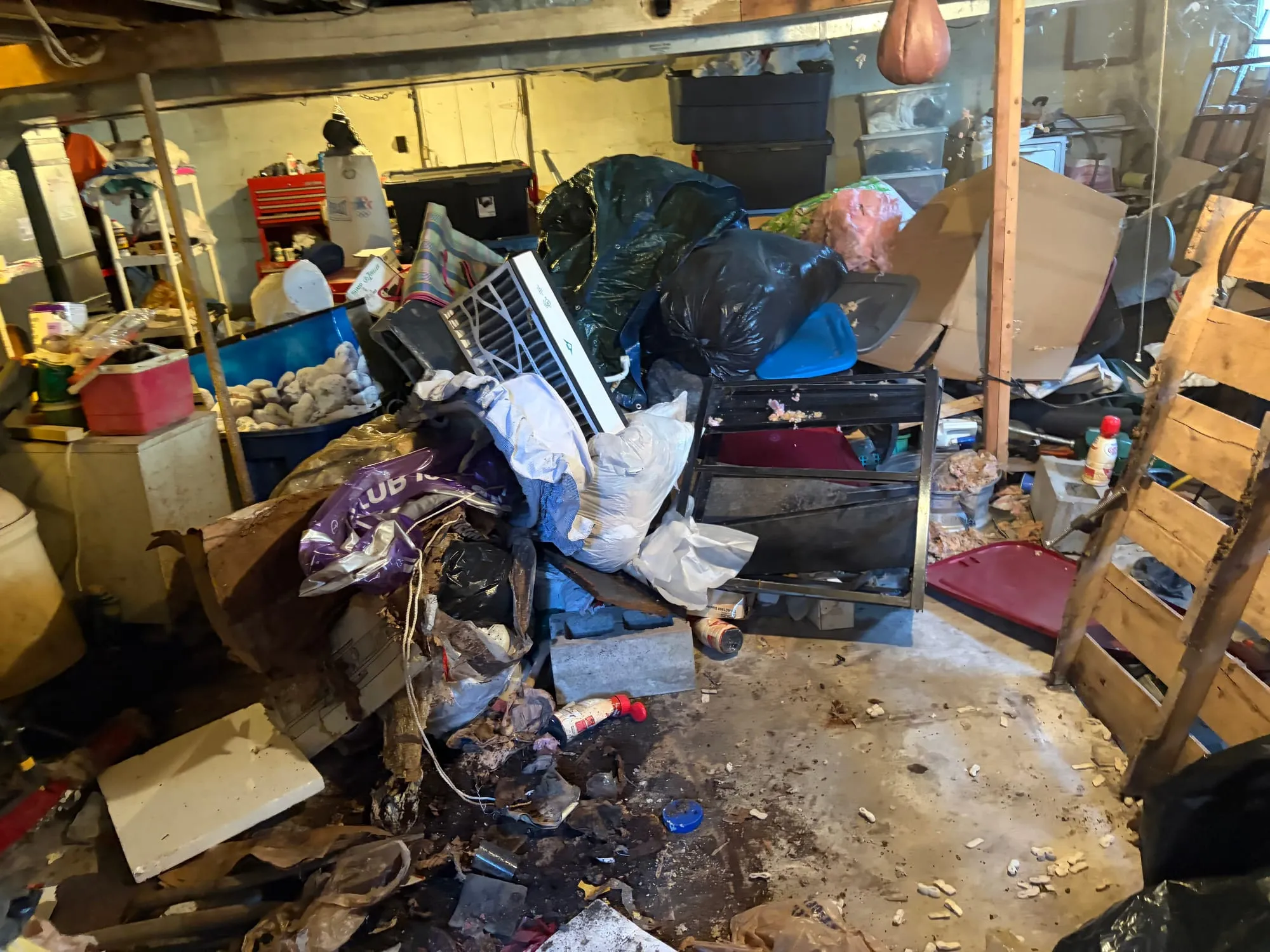 Basement packed floor to ceiling with stored junk before a cleanout